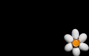 Ромашка из куриных яиц