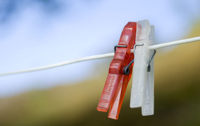 Любовь прищепки