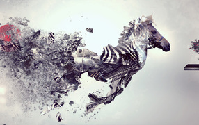 Креативная зебра