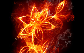 Flower of fire