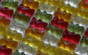 Жевательные медведи