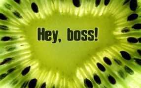 Hey, Boss! Kiwi fruit