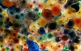 Multicolored jellyfish