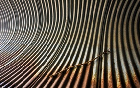 труба зебра