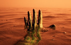 Красное Море