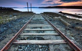 Дорога в никуда