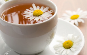 Чай с ромашкой