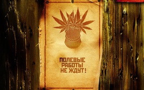 Сбор веселого урожая