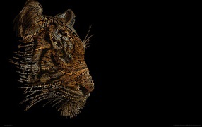 Тигр 2010