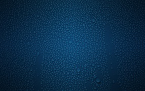 Влажная стена