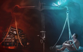 Вес бабочки