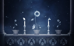 Небесные цветы