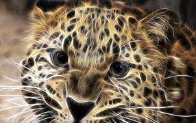 Большая кошка