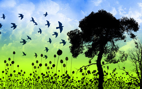 Птицы гордости