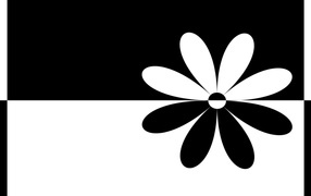 черный белый