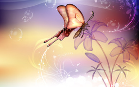 Бабочка на цветке