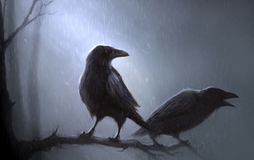 Crows in the rain