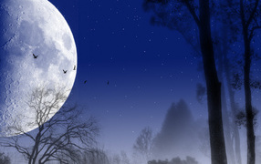 Темная ночь