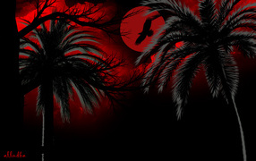 Темная ночь