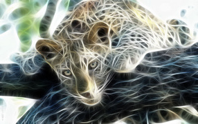 Львица на дереве