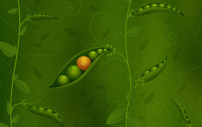 Веселый горох