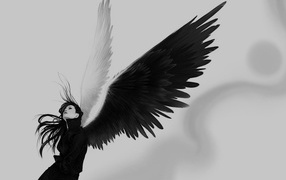 Крылья ангела