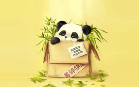 Panda in a Box