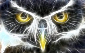 Пронзительный взгляд