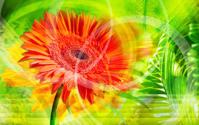 Красное сияние