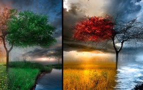 Весна Лето Осень Зима