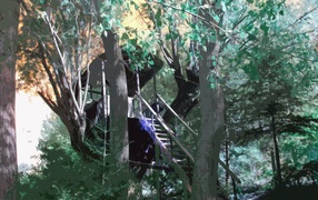 Домик на дереве