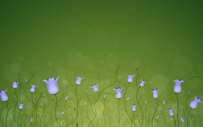 Тянущиеся к солнцу