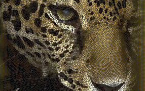 Мозайка леопард
