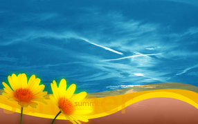 Летние ромашки