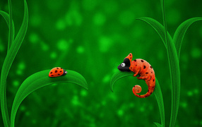 жук и хамелеон