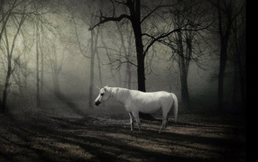 Сказочное животное