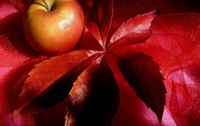 Яблоко на красном