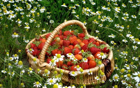 Корзинка с клубникой