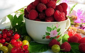 Кружка с малиной