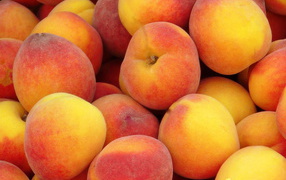 Куча персиков