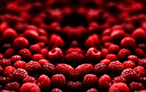 Малиновый рай