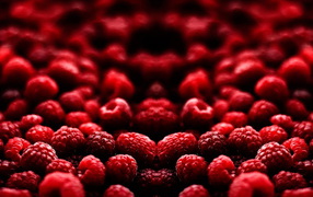 Малиновый рай