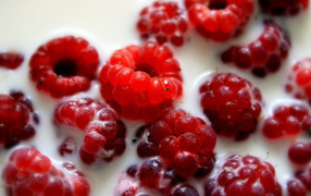 Малина в молоке