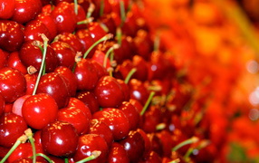 Красная черешня