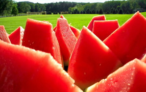Кусочки арбуза