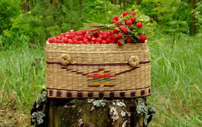 Земляника в корзине