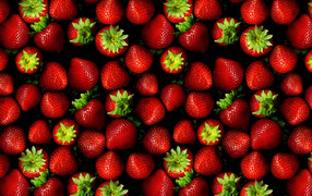 Клубничный рай