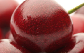 Сладкая черешня