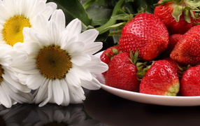 Виктория и цветы