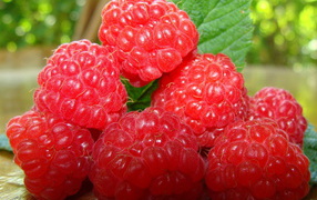 juicy raspberry